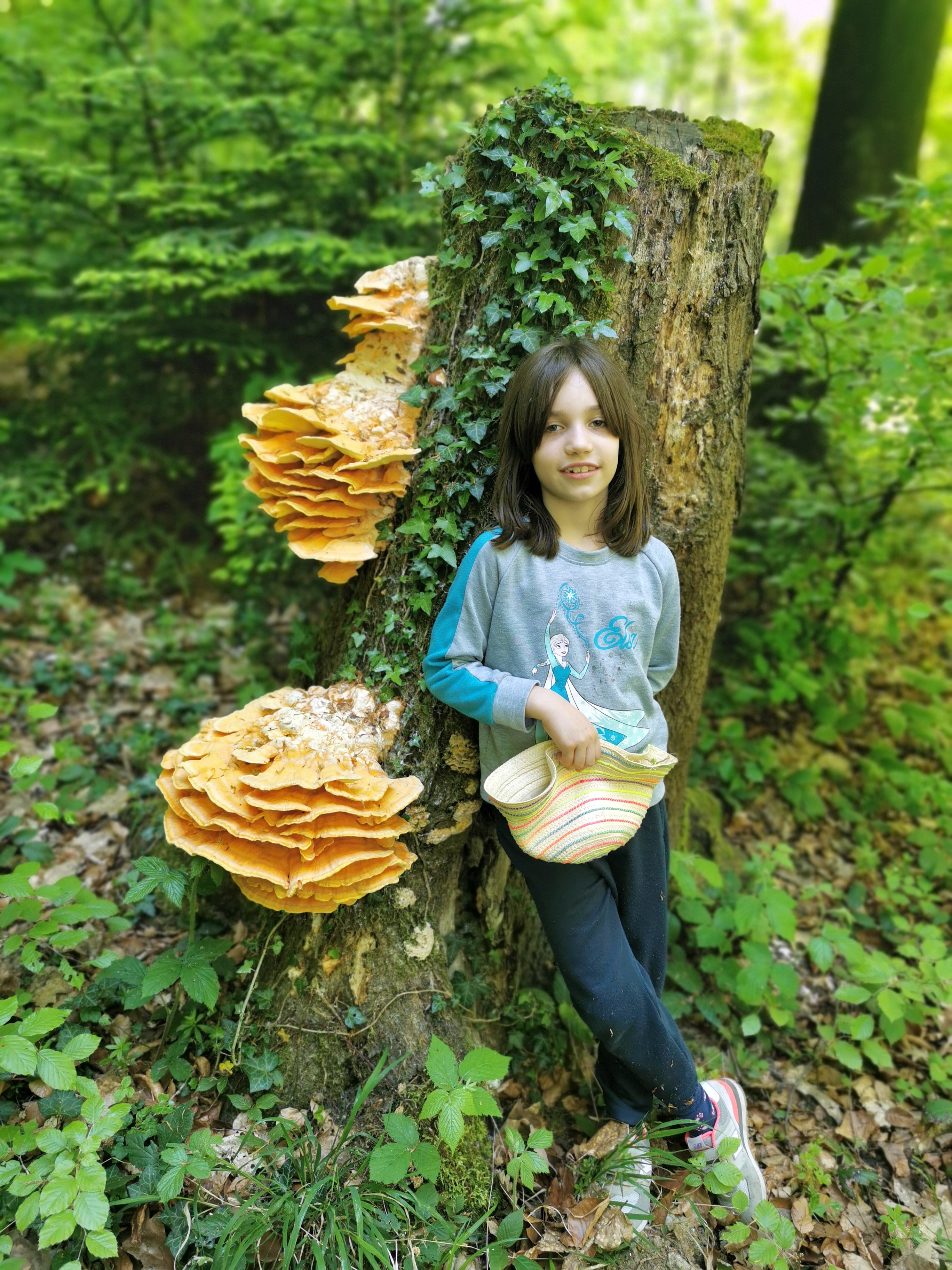Mein Freund, der Pilz...