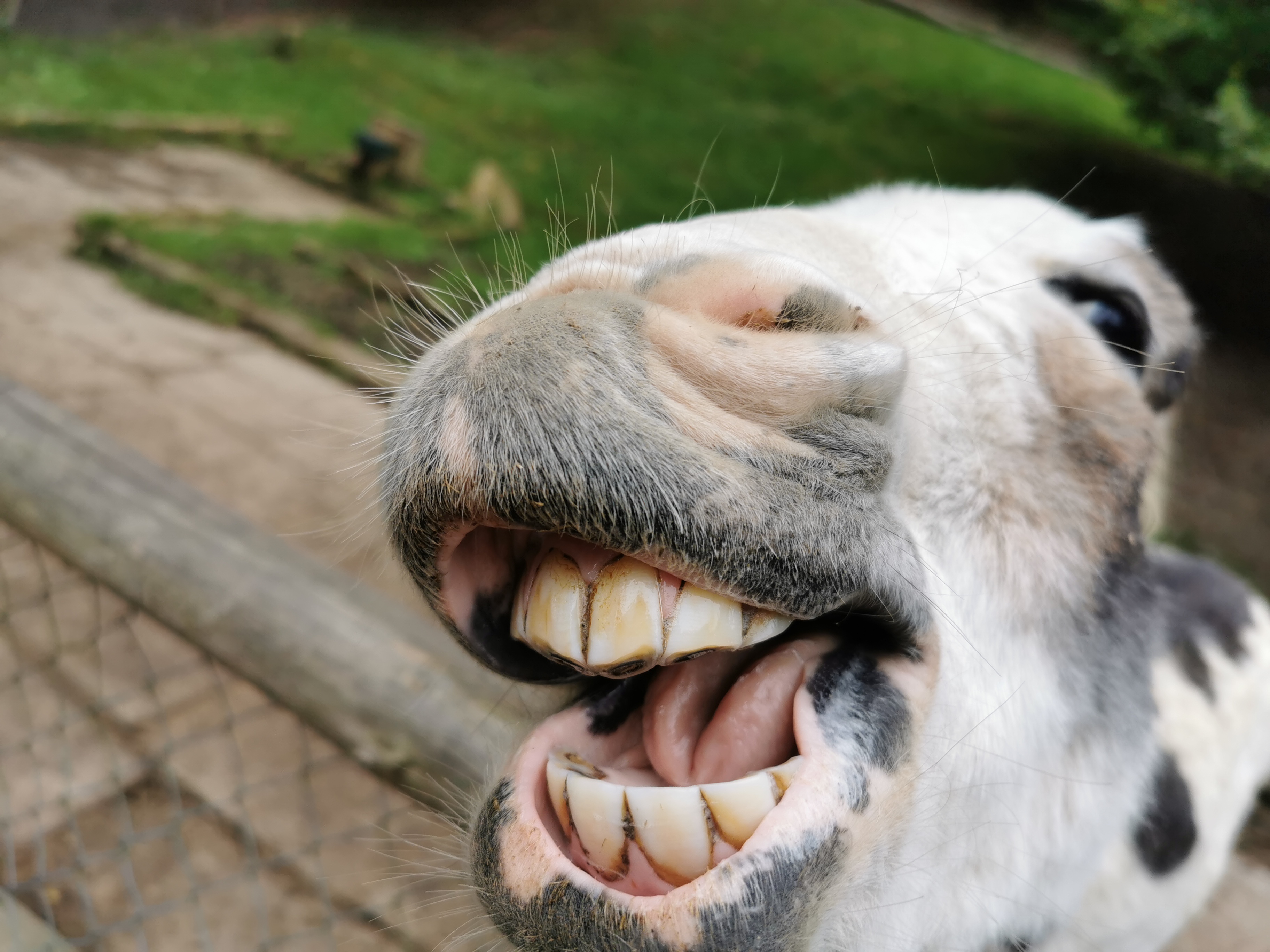 Keep smiling!